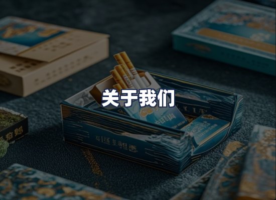 关于我们